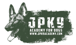 dog training Sacramento CA
dog trainer Elk Grove California
professional dog training Sacramento
puppy training Sacramento California
group dog obedience training Elk Grove
private dog training session Sacramento
board and train dog program California