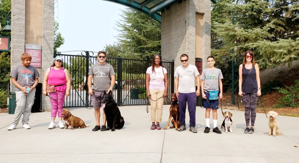 dog training Sacramento CA dog trainer Elk Grove California professional dog training Sacramento puppy training Sacramento California