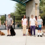 dog training Sacramento CA dog trainer Elk Grove California professional dog training Sacramento puppy training Sacramento California