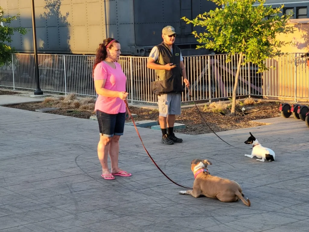 dog training Sacramento CA dog trainer Elk Grove California professional dog training Sacramento