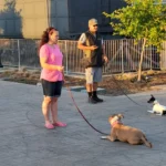 dog training Sacramento CA dog trainer Elk Grove California professional dog training Sacramento