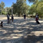 imgi_428_IMG_8805-scaled