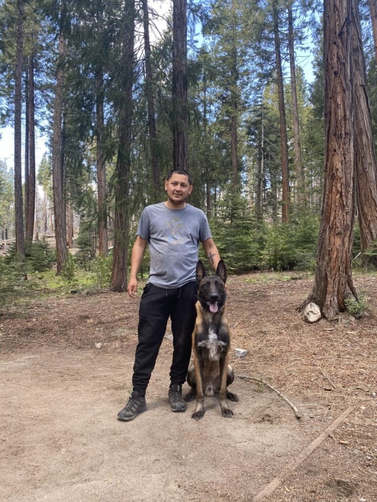 dog training Sacramento CA dog trainer Elk Grove California professional dog training Sacramento puppy training Sacramento California