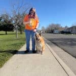 how much does dog training cost
