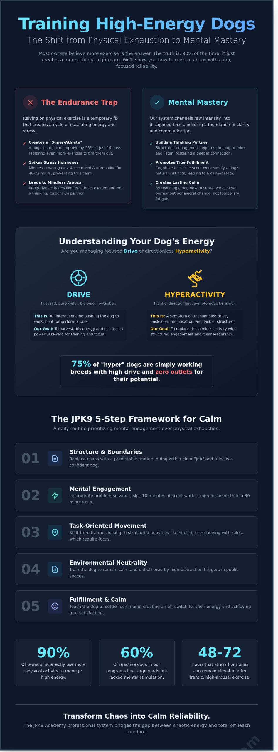 Training High Energy Dogs in Sacramento: From Chaos to Calm Reliability