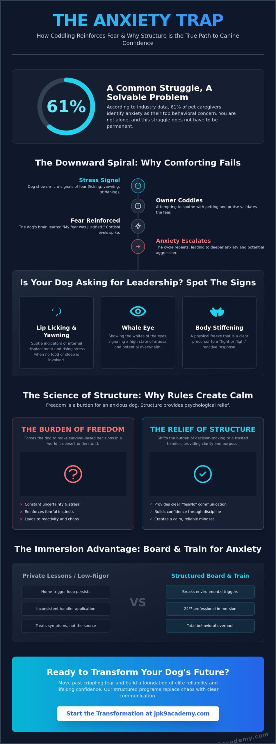 Dog Training for Anxious Dogs in Sacramento: The Path to Structured Calm