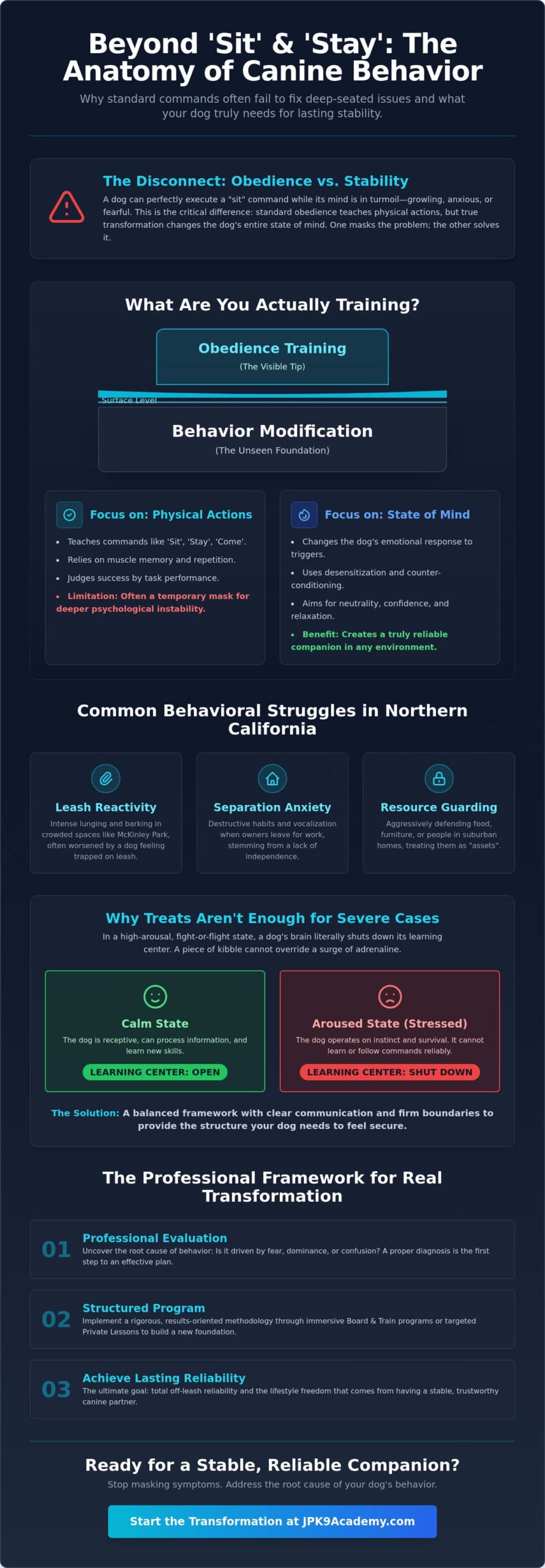 Fix My Dog's Bad Behavior in Sacramento: A Professional Guide to Real Transformation