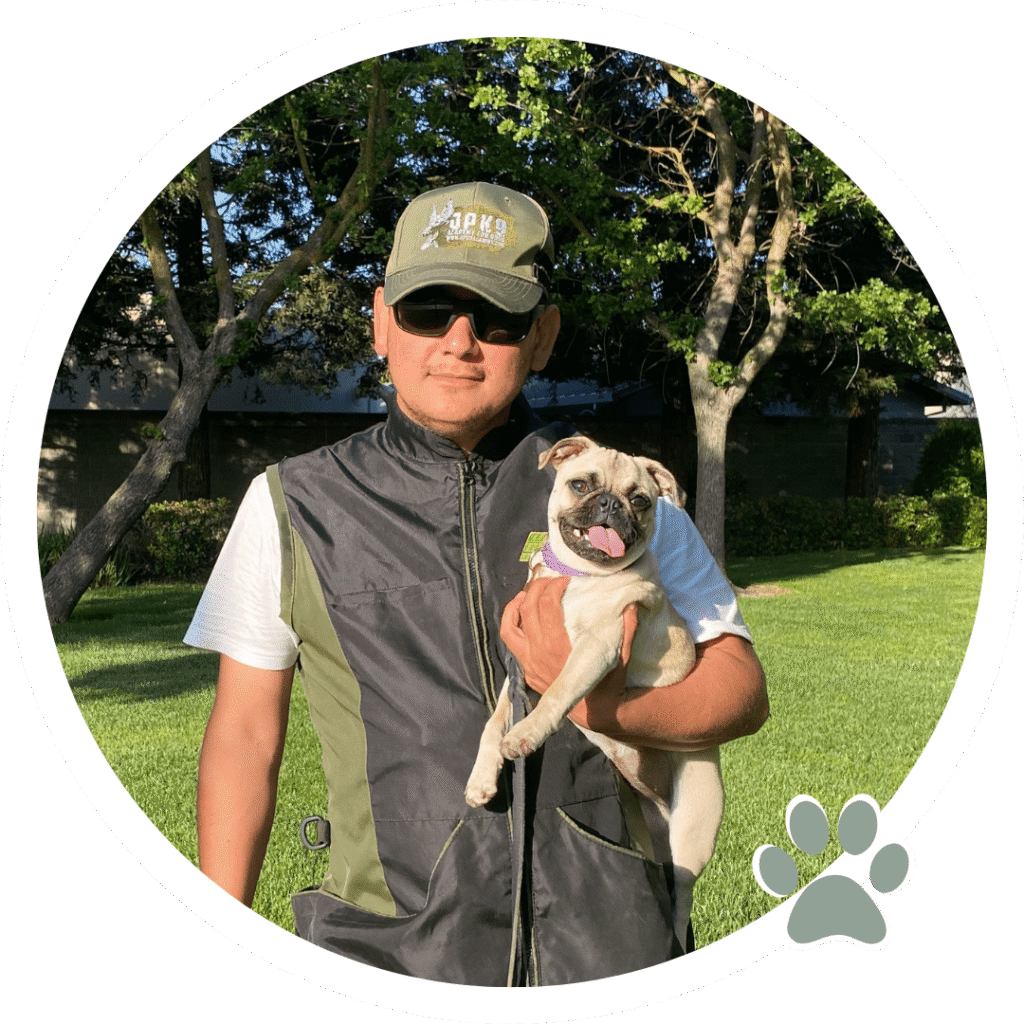 Training Camp for Dogs in Sacramento and Elk Grove, CA