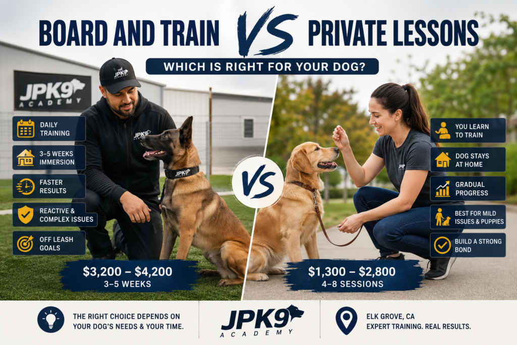 board and train vs private lessons