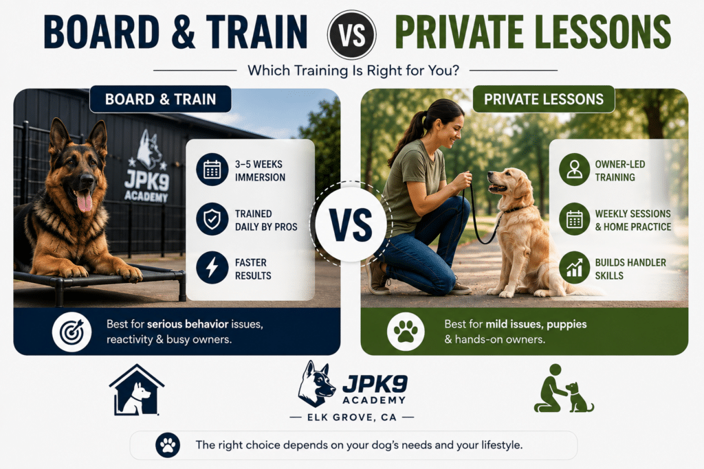 board and train vs private lession
