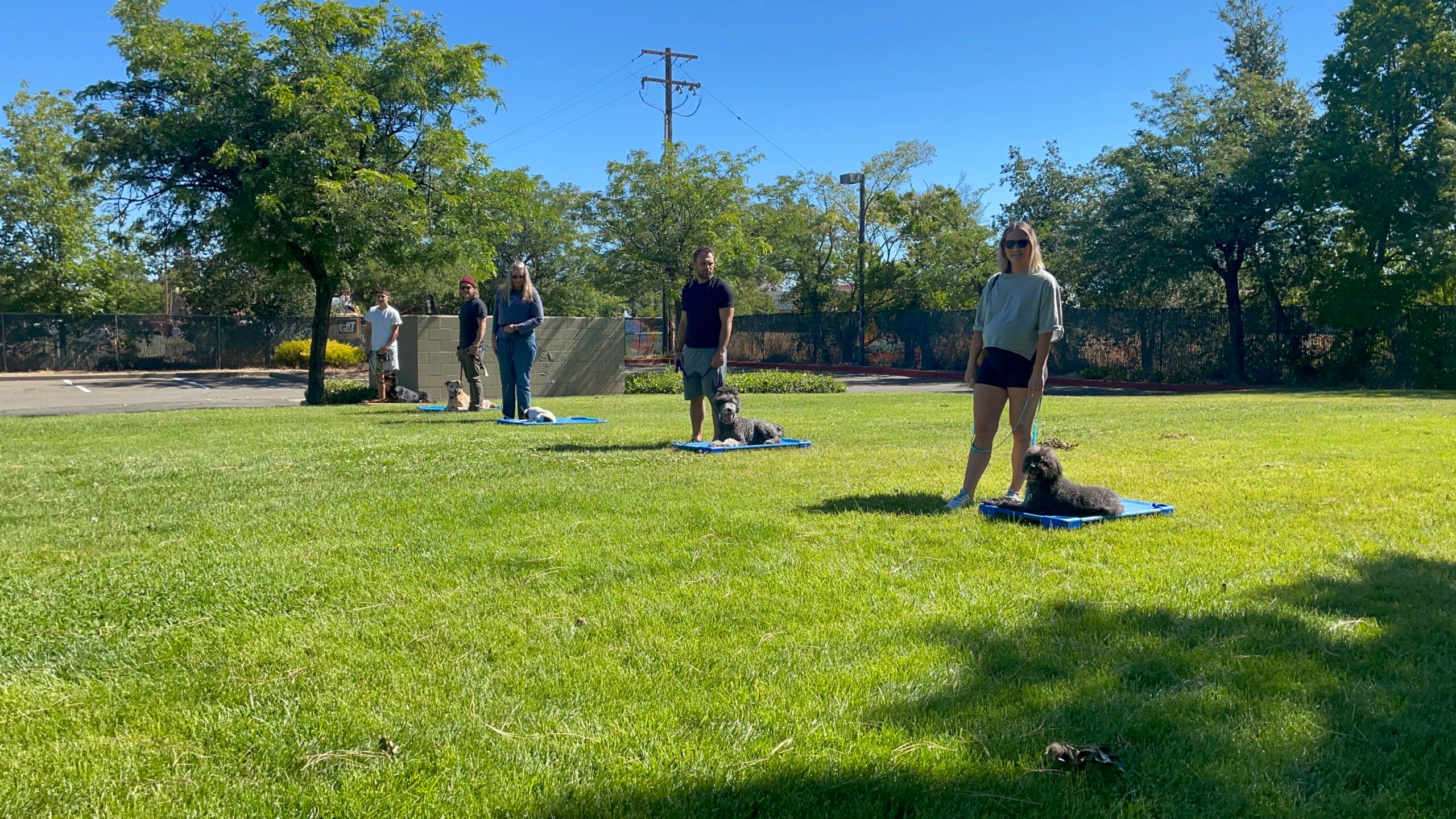 Group obedience dog training classes Sacramento CA JPK9 Academy Elk Grove