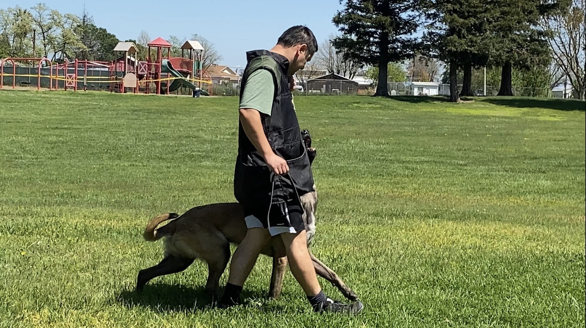 Juan Portillo of JPK9 Academy with a dog in training